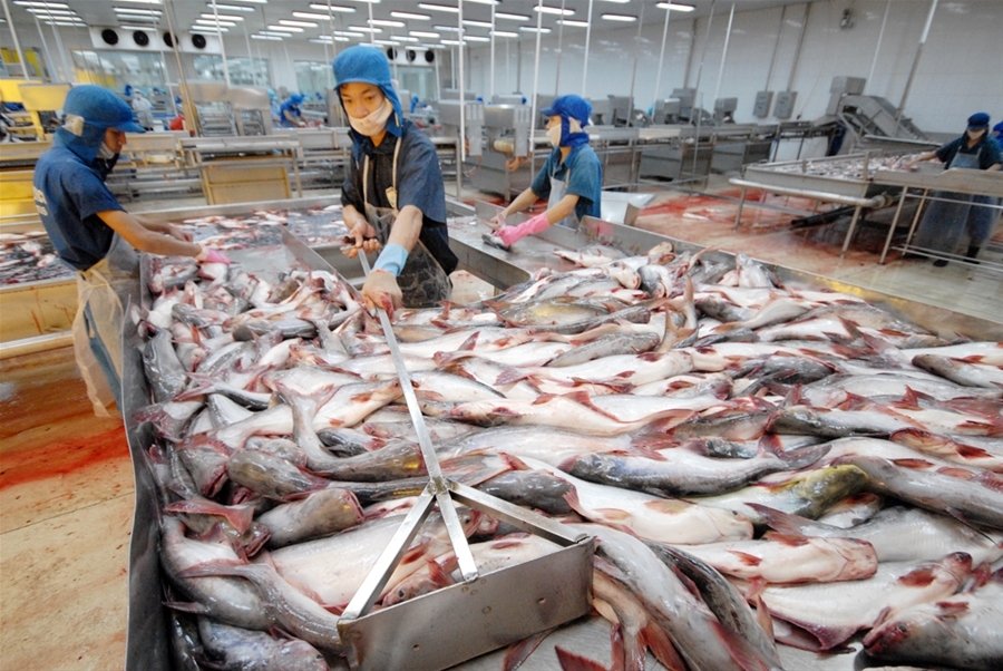 Chế biến hải sản ở Việt Nam qua cách nhìn của người Úc. 