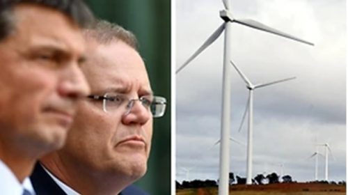Hội đồng Khí hậu cáo buộc chính phủ Úc thiếu đường lối lãnh đạo trong lĩnh vực năng lượng tái tạo