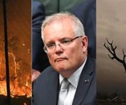 Thủ tướng Scott Morrison kêu gọi thành lập Ủy ban hoàng gia về các vụ cháy rừng trong “mùa hè đen tối”