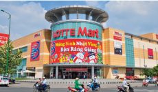 Sau 1 thập kỷ vào Việt Nam, Lotte Mart lỗ tổng cộng 2.000 tỷ đồng, bất chấp đồ thị tăng trưởng doanh thu vẫn “đẹp như mơ”
