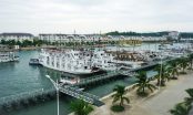 Sắp áp dụng mức giá dịch vụ mới qua cảng Quốc tế Tuần Châu