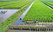 Huy động nguồn lực phát triển nông nghiệp thuận thiên vùng đồng bằng sông Cửu Long