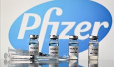 WHO đàm phán với Pfizer để sớm phân phối vaccine trên toàn cầu