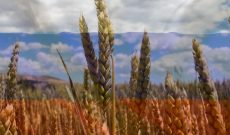Nga tăng thuế xuất khẩu lúa mì, nông dân Úc hưởng lợi lớn