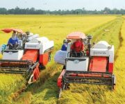 Khởi động dự án hợp tác giữa doanh nghiệp nông nghiệp Việt Nam – Australia