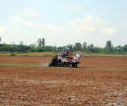 Giúp nông dân hưởng lợi lâu dài từ đất lúa