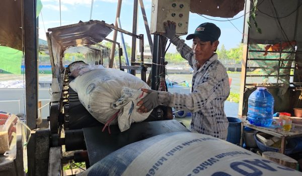 Việt Nam sắp cạn nguồn gạo để xuất khẩu?