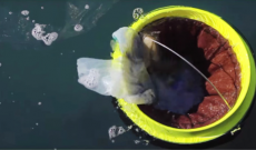 Úc: Thùng rác nổi tự động thu gom rác trên biển