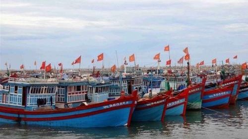 Gỡ ‘thẻ vàng’: Thủy sản Việt Nam tập trung vào chuỗi giá trị bền vững