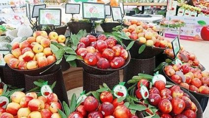 Việt Nam nhập khẩu táo từ Mỹ, Australia, New Zealand… gần 240 triệu USD/năm