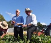 Gần 14% đất nông nghiệp của Úc nằm trong tay người Anh và Trung Quốc