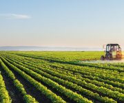 6 tháng đầu năm: Ngành nông nghiệp ‘gặt quả ngọt’ tăng trưởng 2,65%, gần gấp đôi cả năm 2016