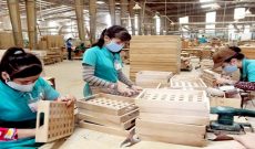Áp thuế Trung Quốc, thị trường gỗ 30 tỉ USD rộng cửa với Việt Nam