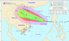 Bão số 10 có tên quốc tế là Doksuri với phạm vi và cường độ lớn, dự báo chiều tối 15/9 đến rạng sáng 16/9, bão số 10 sẽ đổ bộ vào đất liền ​Việt Nam ở khu vực Nghệ An-Hà Tĩnh.