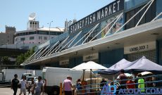 Chợ cá và du thuyền: Thế mạnh của ngành du lịch Australia