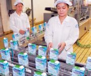 Nikkei: Việt Nam bán cổ phần doanh nghiệp Nhà nước rất chậm