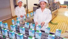 Nikkei: Việt Nam bán cổ phần doanh nghiệp Nhà nước rất chậm