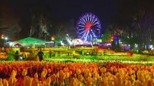 Rực rỡ lễ hội hoa Floriade 2016 ở Canberra – Úc