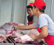 “Giải cứu” lợn, ngân hàng đã giãn nợ được hơn 364 tỷ đồng