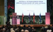 Hợp tác kinh tế, thương mại, đầu tư là trụ cột quan trọng trong quan hệ Việt Nam – Australia