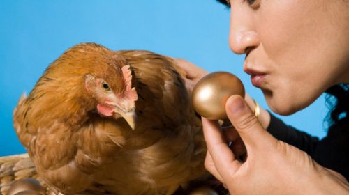 Con gà đẻ trứng vàng của FPT sắp lên sàn Upcom với mã chứng khoán FOX