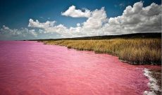 Úc: Giải mã bí ẩn hồ nước màu hồng độc nhất thế giới
