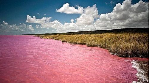 Úc: Giải mã bí ẩn hồ nước màu hồng độc nhất thế giới