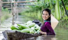 Năm 2016 tăng trưởng âm, nông nghiệp Việt cần làm gì trong năm 2017?