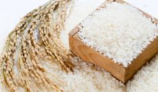 Giá gạo có thể tăng thêm 20 USD/Tấn trong 3 tháng tới
