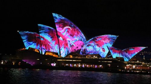 “Nhà sò” biến mình trong Lễ hội Vivid 2017 thắp sáng Sydney