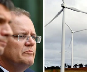 Hội đồng Khí hậu cáo buộc chính phủ Úc thiếu đường lối lãnh đạo trong lĩnh vực năng lượng tái tạo