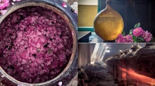 “Kinh đô nước hoa” của Ấn Độ, nơi cất giữ linh hồn của những mùi hương và cuộc chiến với ngành nước hoa công nghiệp