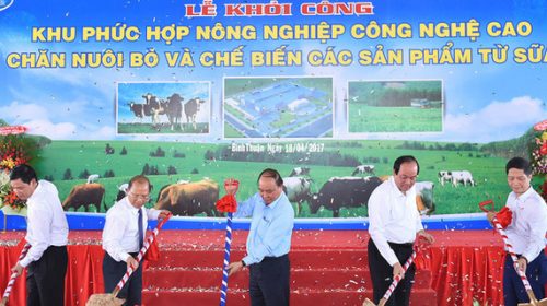 Thêm một dự án chăn nuôi bò sữa 3.000 tỷ đồng vừa được Thủ tướng nhấn nút khởi công