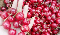 Cherry Trung Quốc 90 ngàn đồng/kg bán tràn lan