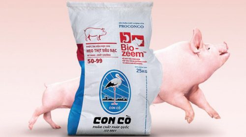 Dù giá thịt lợn giảm, Masan vẫn kiếm tiền tốt từ bán cám
