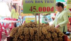 Chớm hè, rau quả Thái đã “ùn ùn” đổ về Việt Nam