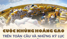 Khủng hoảng lương thực toàn cầu: Giá gạo Việt đắt nhất lịch sử, thu về 4 tỷ USD