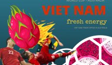 Người Việt Nam ủng hộ tiêu thụ trái cây tươi Việt Nam