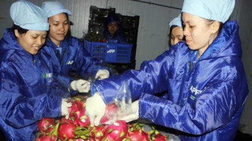 Đề nghị Úc mở cửa thị trường hơn nữa cho nông sản Việt