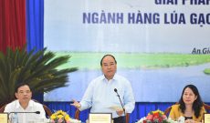 Thủ tướng: “Xâm thực” gạo của các nước vào Việt Nam mới đáng sợ