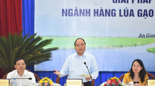 Thủ tướng: “Xâm thực” gạo của các nước vào Việt Nam mới đáng sợ