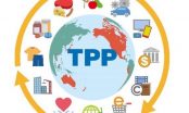 Châu Á-Thái Bình Dương không thể đạt thỏa thuận thay TPP trong 2017