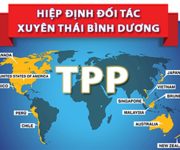 Có hay không TPP, Việt Nam vẫn cải cách môi trường kinh doanh