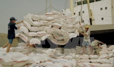 Việt Nam sẽ cung cấp 1 triệu tấn gạo cho Bangladesh mỗi năm