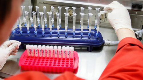 Úc tìm ra tế bào miễn dịch, mang lại hy vọng cho việc điều trị ung thư máu