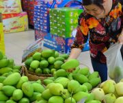 Úc chính thức cấp phép cho nhập khẩu xoài Việt Nam vào thị trường trong nước