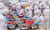 Những sai lầm “chết người” của doanh nghiệp Việt khi xuất khẩu thực phẩm sang Mỹ