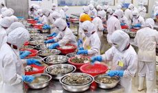 Những sai lầm “chết người” của doanh nghiệp Việt khi xuất khẩu thực phẩm sang Mỹ